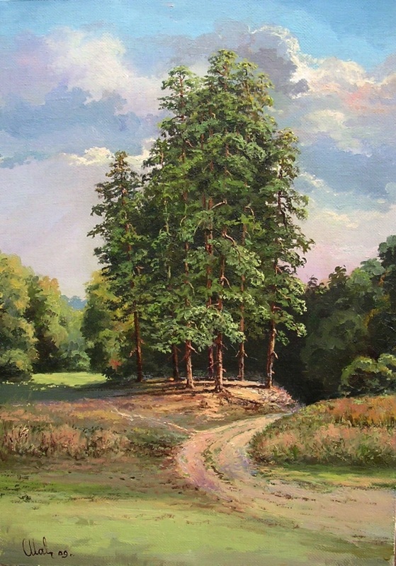 Сосны на пригорке