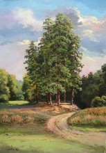 Сосны на пригорке