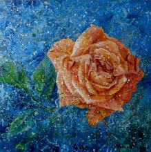 Поцелуй розы