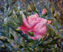 Роза в утренней росе.