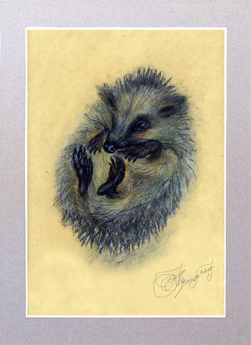 Малыш Ежусик. Вариант-1. Соус пастель, мел.