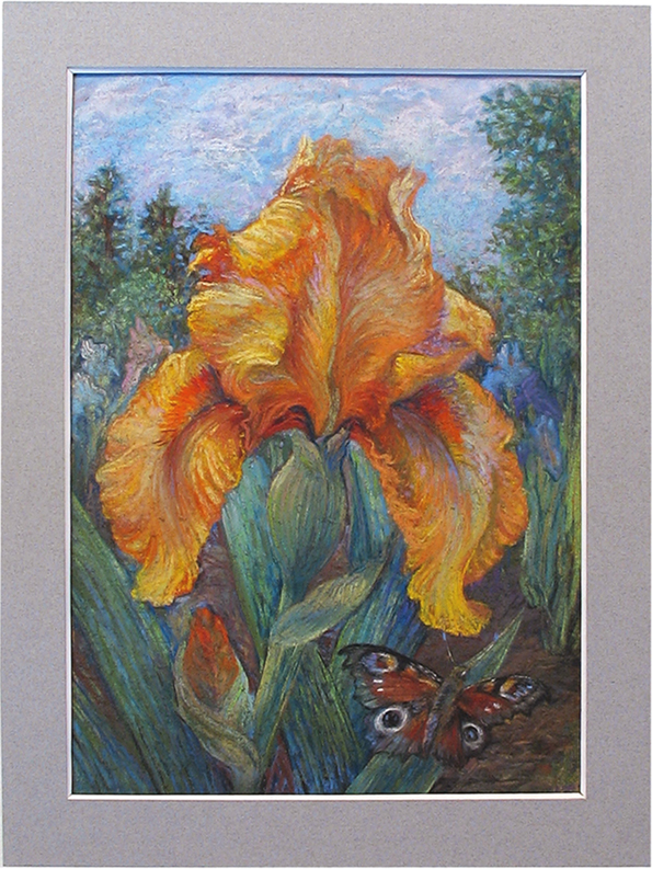 Мой  Золотой ирис с бабочкой. пастель, ...