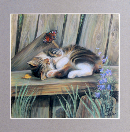 Залитский котёнок с бабочкой. пастель, ...