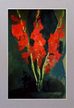 Алые гладиолусы и маленькая чёрная пантера. ...