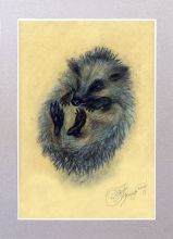 Малыш Ежусик. Вариант-1. Соус пастель, мел.