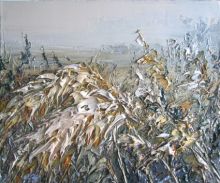 Зимнее разнотравье