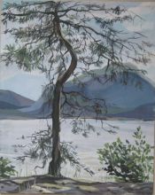 Сосна на Малаховом озере