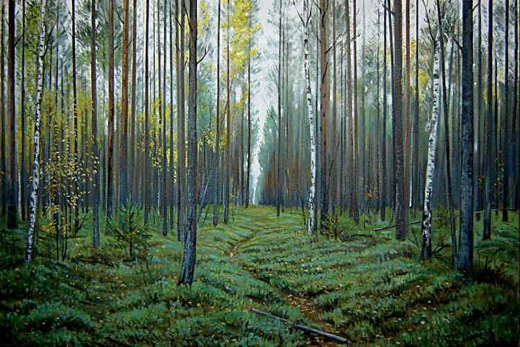 Дорога на болото