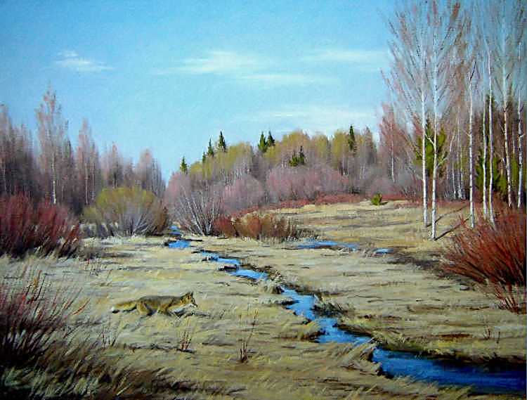 Весенний день Сковородино