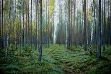 Дорога на болото