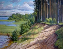 Васькин бор