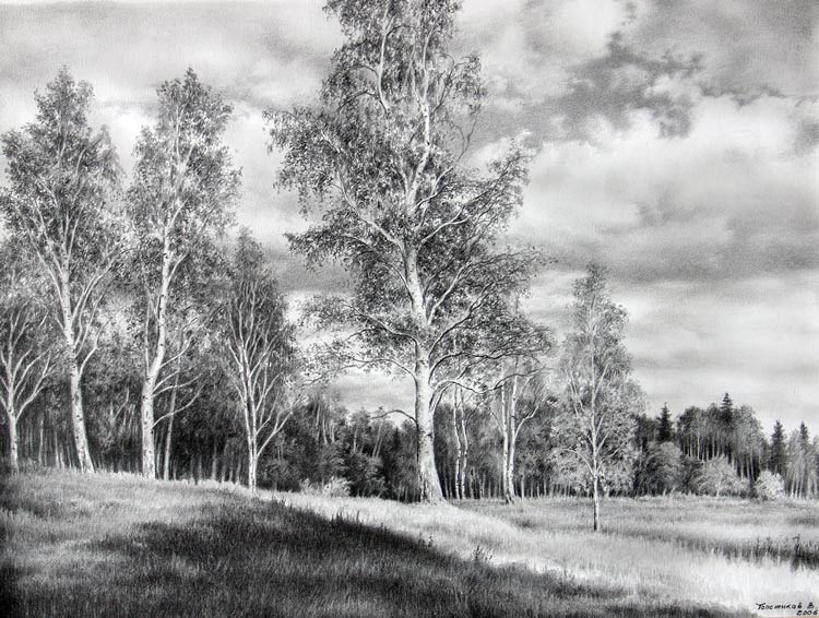 Солнечный день