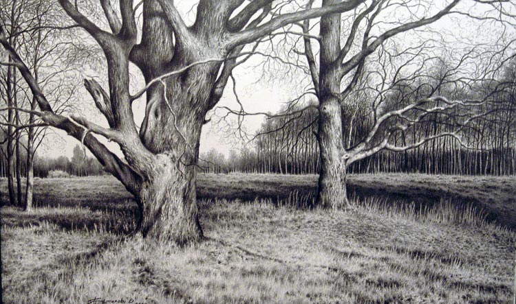 Стражи леса