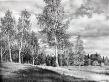 Солнечный день