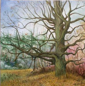 Молодий дуб