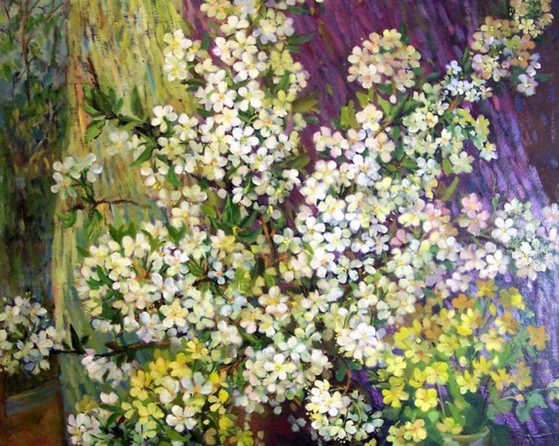 Цветущая вишня