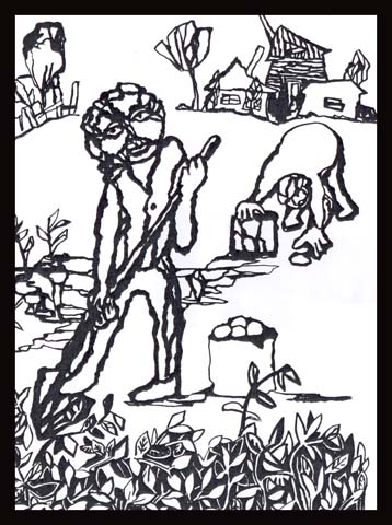 Сбор урожая 