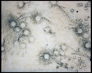 АннаВалиева_эволюция2_156_170