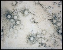 АннаВалиева_эволюция2_156_170