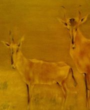 Imagine /фрагмент/