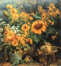 Подсолнухи.