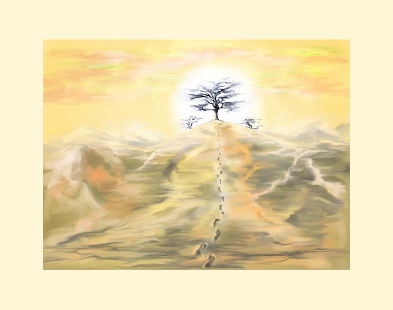 Путь к оазису