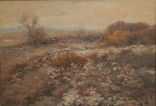 Осенние цветы