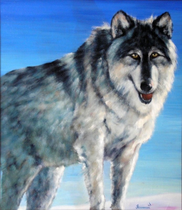 На снежных просторах