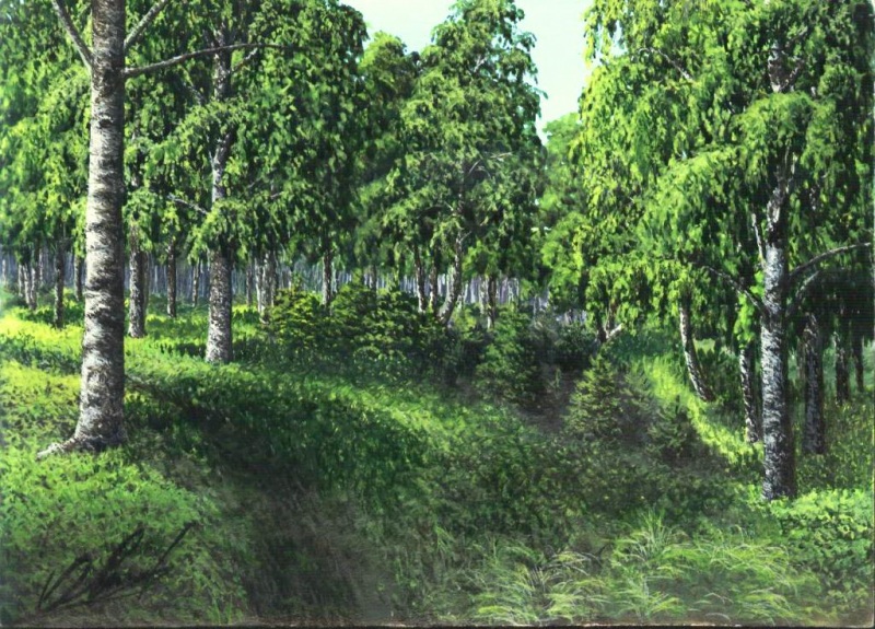 Берёзовый лес