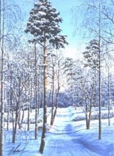 Зимний полдень