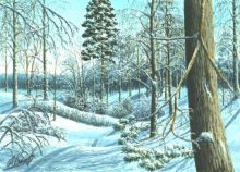Зимняя опушка