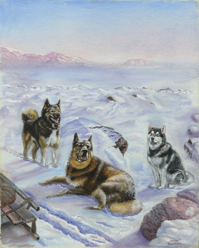 За Полярным кругом