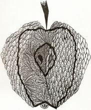 Яблоко 3