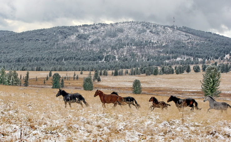 Угроза зимы