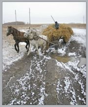 Русский размер