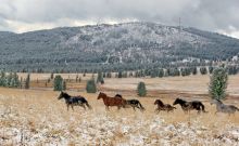 Угроза зимы