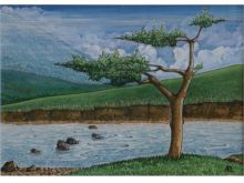 Горная речка