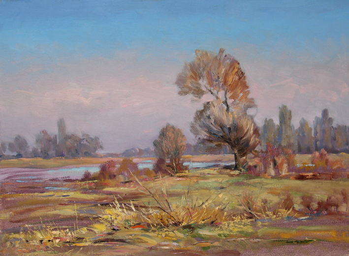 Полевой простор