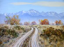 Дорога домой