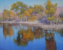 Озеро в Топаре