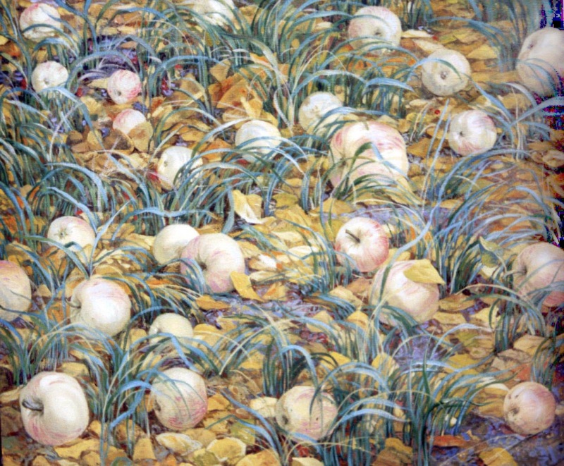Яблоки в траве