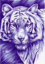 Без названия