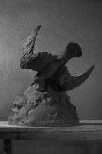 Чайка по имени Джонатан Ливингстон. 2009 г.