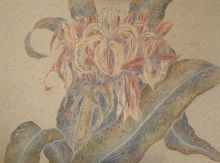 Экзотический цветок