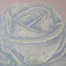 Зеленая роза