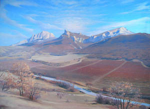 Виноградники Коктебеля.