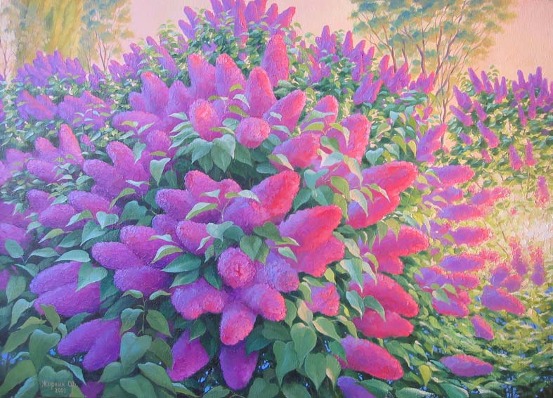 Утренняя сирень