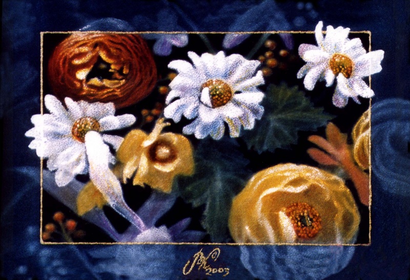 полевые цветы