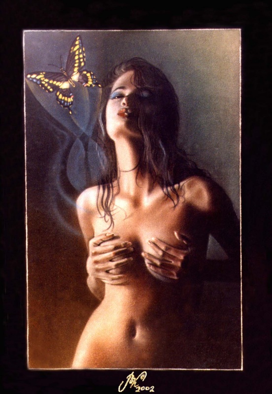 ночная бабочка