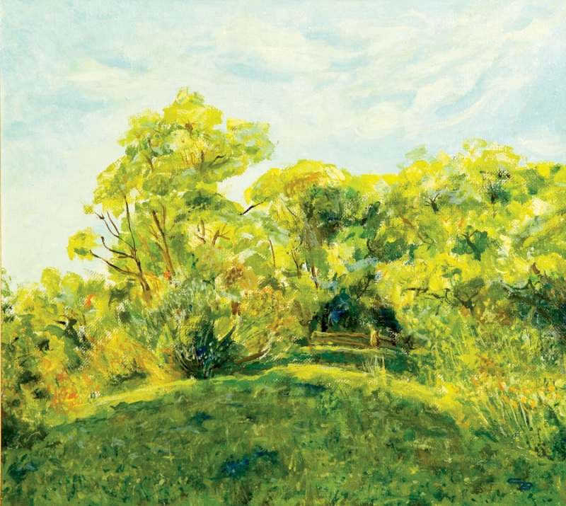 Зеленая поляна